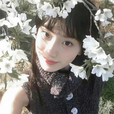 小岛奇谭
