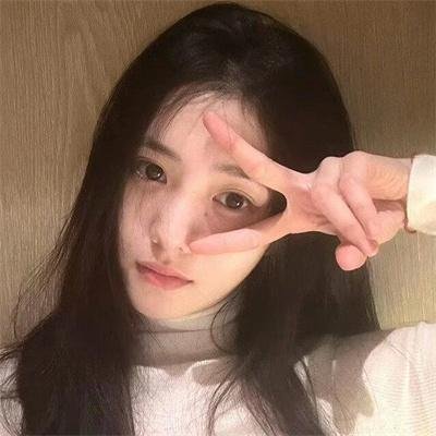 海龟们